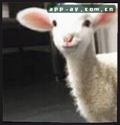 李阳